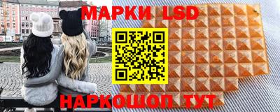 ПСИЛОЦИБИНОВЫЕ ГРИБЫ Новозыбков