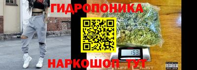 ПСИЛОЦИБИНОВЫЕ ГРИБЫ Новозыбков
