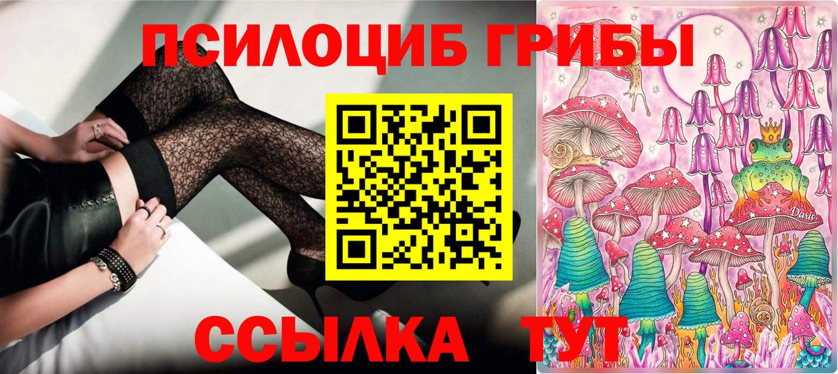 Галлюциногенные грибы прущие грибы Сертолово