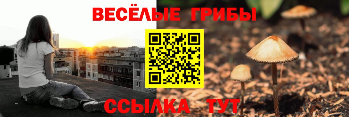 Псилоцибиновые грибы MAGIC MUSHROOMS  Вход с VPN  Сертолово  Галлюциногенные грибы Psilocybine cubensis 