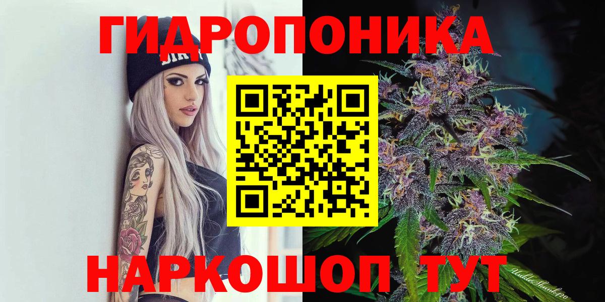 Каннабис индика  Вход с VPN  Сертолово  Марихуана марихуана 